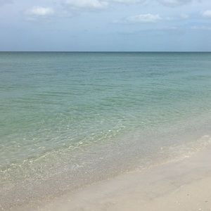 Meet your Posher, Lynn